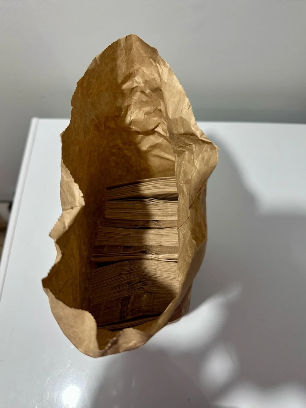 Duro #1 Brown Paper Bag (Qty 100+)